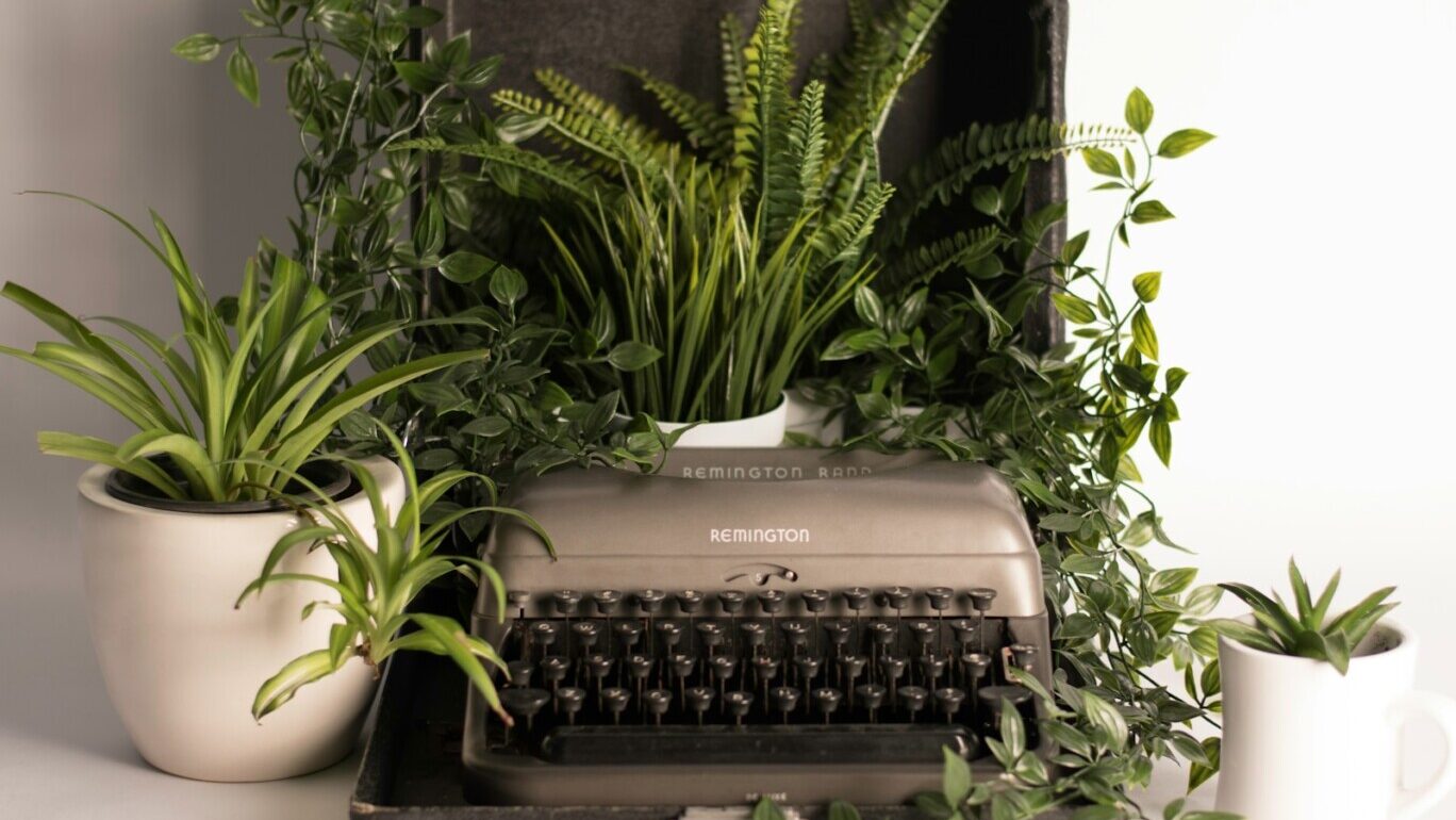 gray and black typewriter pot with green leaf plants